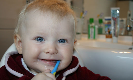 The Forker Company - Dental Insurance